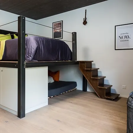 Woo Loft Apartment Fiesch