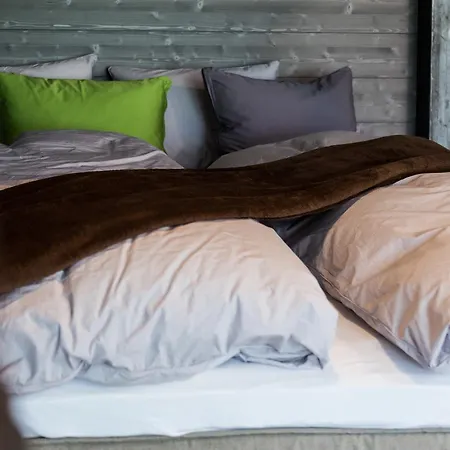 Woo Loft Apartment Fiesch