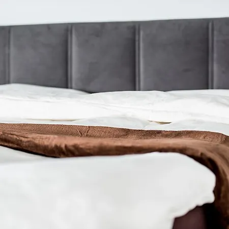 Woo Loft Fiesch
