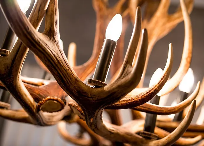 Woo Loft Daire Fiesch