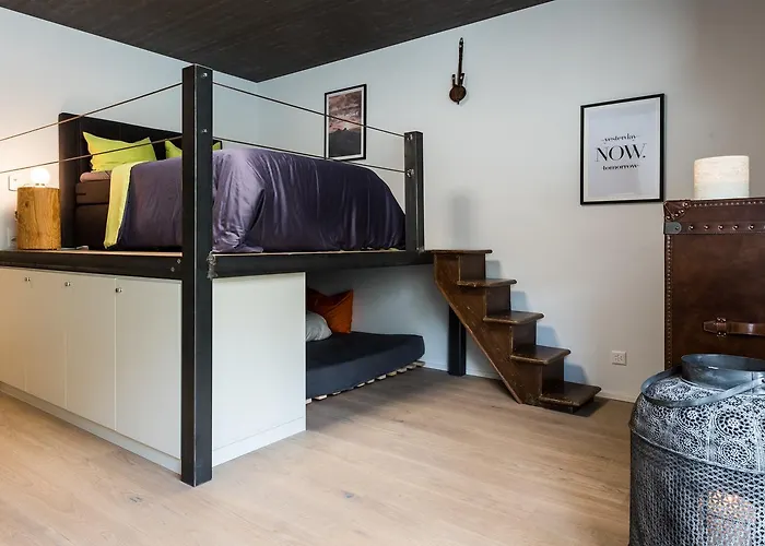 Woo Loft Daire Fiesch