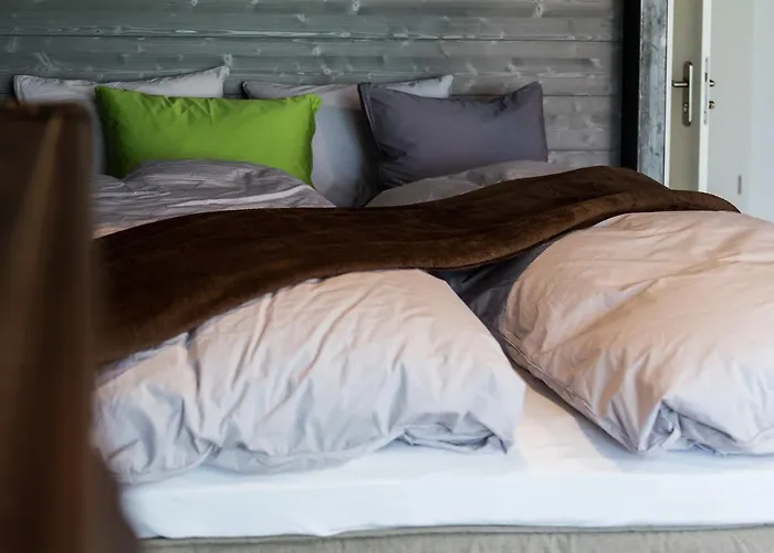 Woo Loft Daire Fiesch