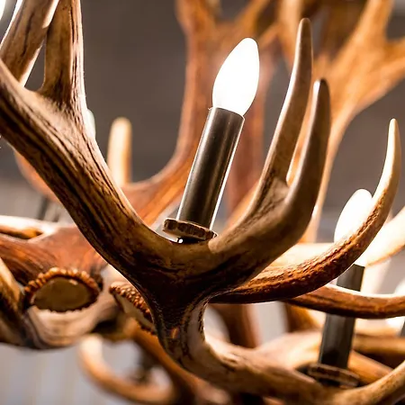 Woo Loft Apartman Fiesch