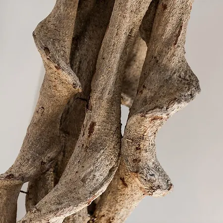 Appartement Woo Loft