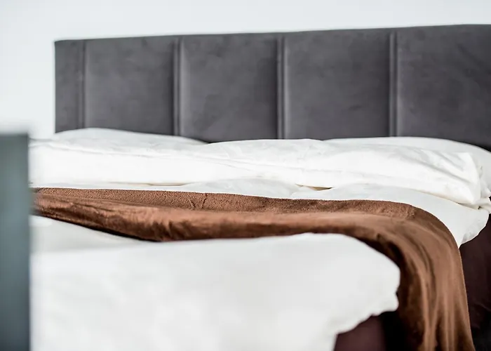 Woo Loft Fiesch
